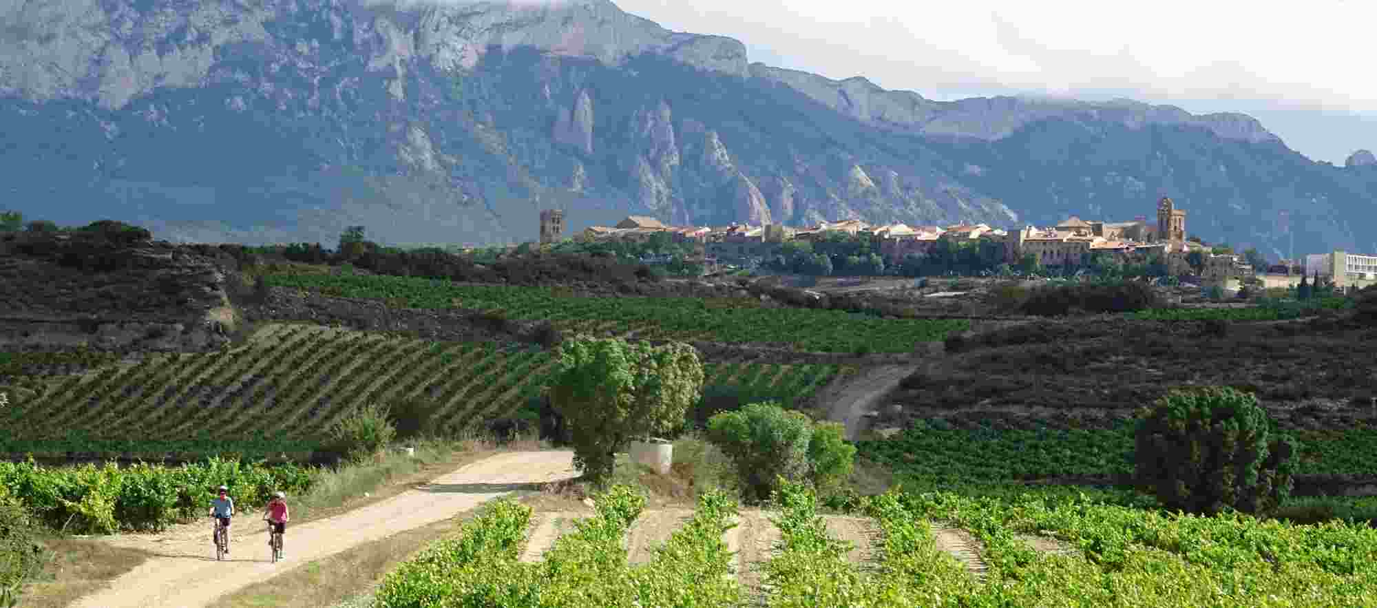 cycling amongst vineyards in La Rioja
